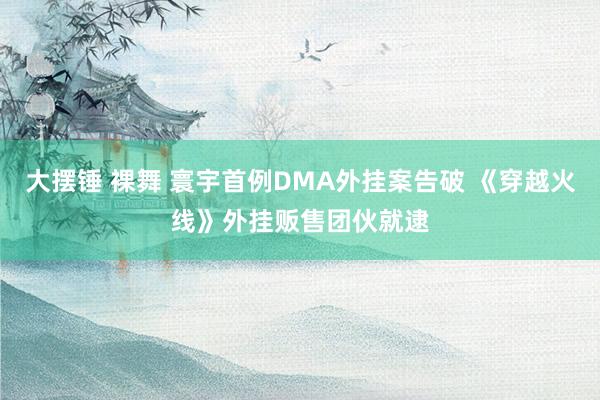 大摆锤 裸舞 寰宇首例DMA外挂案告破 《穿越火线》外挂贩售团伙就逮