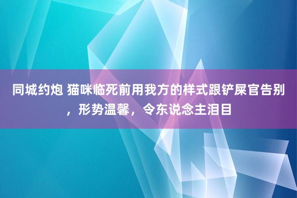 同城约炮 猫咪临死前用我方的样式跟铲屎官告别，形势温馨，令东说念主泪目