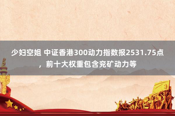 少妇空姐 中证香港300动力指数报2531.75点，前十大权重包含兖矿动力等