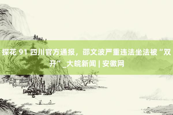 探花 91 四川官方通报，邵文波严重违法坐法被“双开”_大皖新闻 | 安徽网