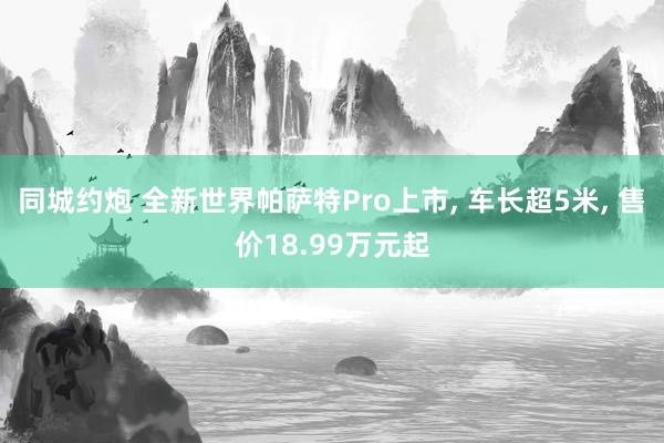 同城约炮 全新世界帕萨特Pro上市， 车长超5米， 售价18.99万元起