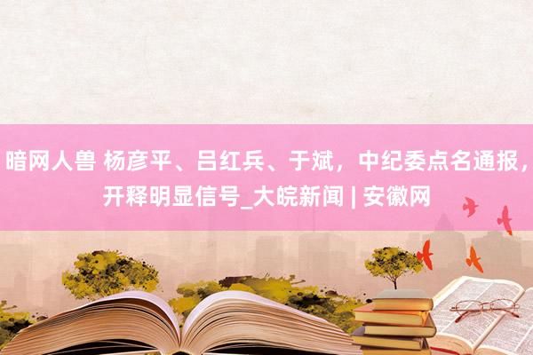 暗网人兽 杨彦平、吕红兵、于斌，中纪委点名通报，开释明显信号_大皖新闻 | 安徽网