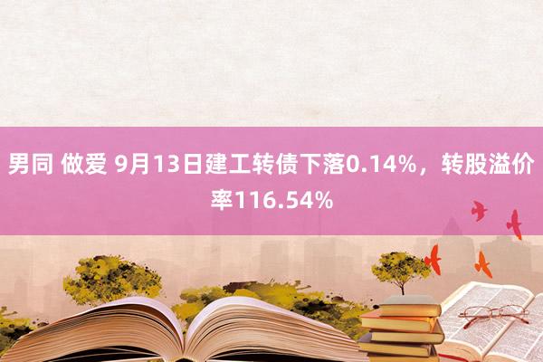 男同 做爱 9月13日建工转债下落0.14%，转股溢价率116.54%