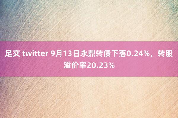 足交 twitter 9月13日永鼎转债下落0.24%，转股溢价率20.23%