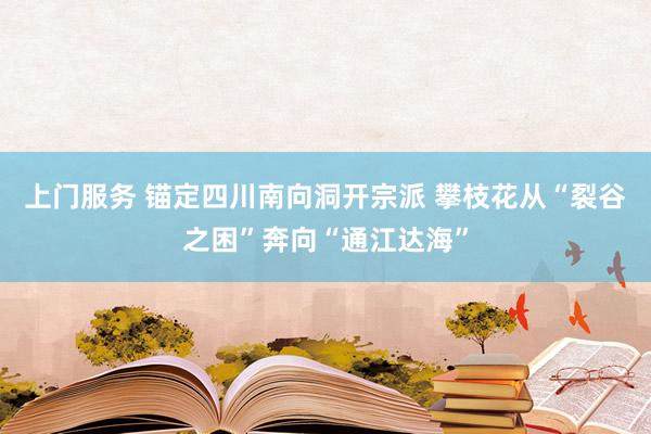 上门服务 锚定四川南向洞开宗派 攀枝花从“裂谷之困”奔向“通江达海”