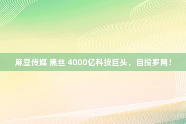 麻豆传媒 黑丝 4000亿科技巨头，自投罗网！