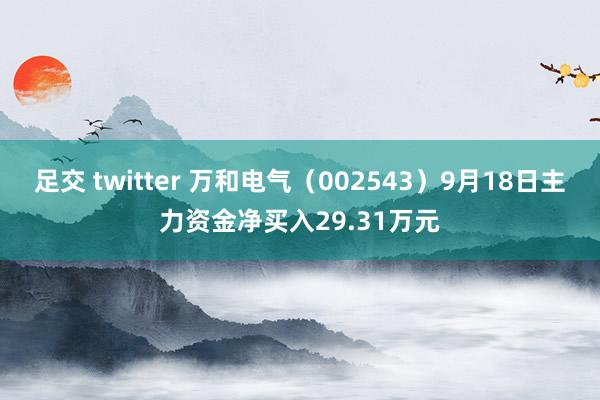 足交 twitter 万和电气（002543）9月18日主力资金净买入29.31万元