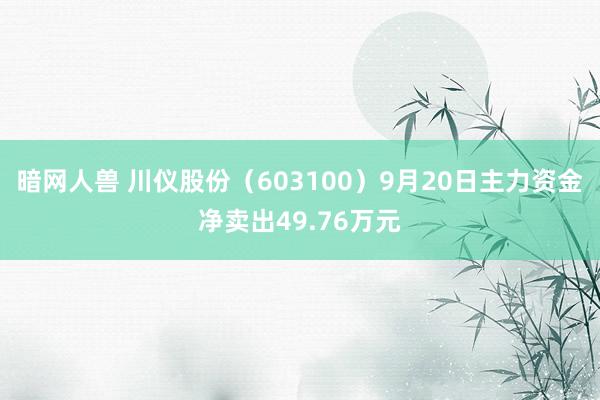 暗网人兽 川仪股份（603100）9月20日主力资金净卖出49.76万元