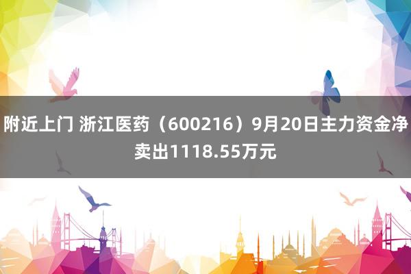 附近上门 浙江医药（600216）9月20日主力资金净卖出1118.55万元