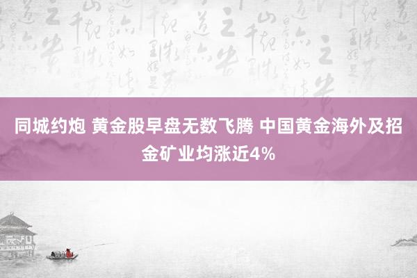 同城约炮 黄金股早盘无数飞腾 中国黄金海外及招金矿业均涨近4%