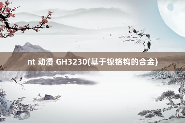 nt 动漫 GH3230(基于镍铬钨的合金)