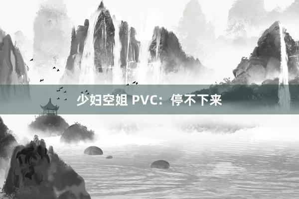 少妇空姐 PVC：停不下来