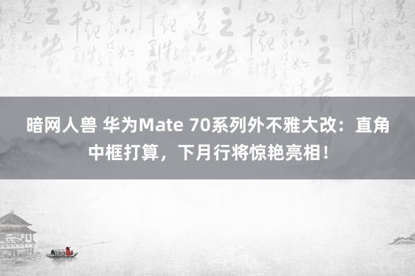 暗网人兽 华为Mate 70系列外不雅大改：直角中框打算，下月行将惊艳亮相！