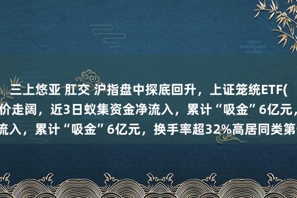 三上悠亚 肛交 沪指盘中探底回升，上证笼统ETF(510980)跌超7%盘中溢价走阔，近3日蚁集资金净流入，累计“吸金”6亿元，换手率超32%高居同类第一！