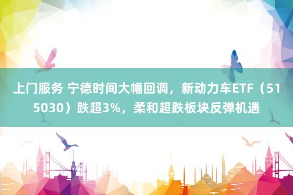 上门服务 宁德时间大幅回调，新动力车ETF（515030）跌超3%，柔和超跌板块反弹机遇