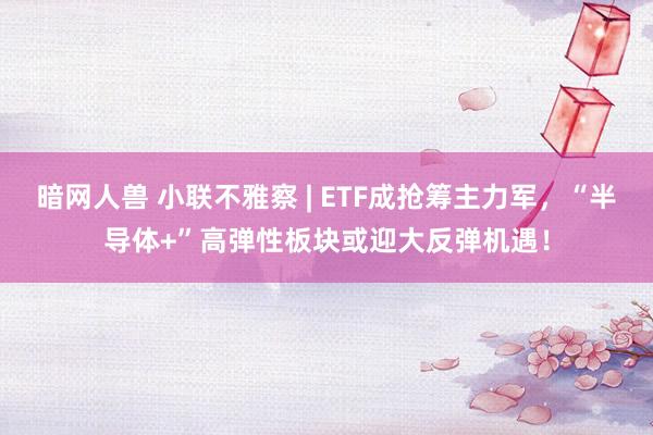 暗网人兽 小联不雅察 | ETF成抢筹主力军，“半导体+”高弹性板块或迎大反弹机遇！