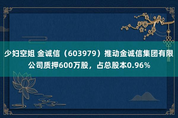 少妇空姐 金诚信（603979）推动金诚信集团有限公司质押600万股，占总股本0.96%