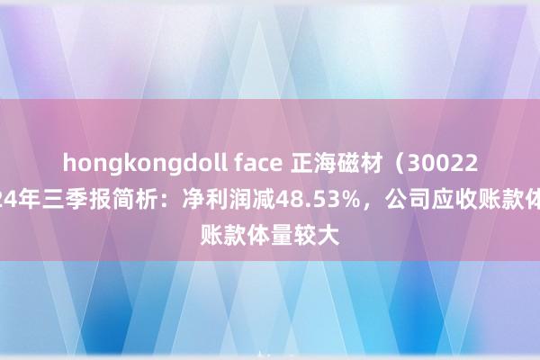 hongkongdoll face 正海磁材（300224）2024年三季报简析：净利润减48.53%，公司应收账款体量较大