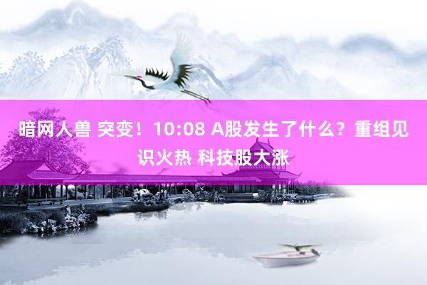 暗网人兽 突变！10:08 A股发生了什么？重组见识火热 科技股大涨