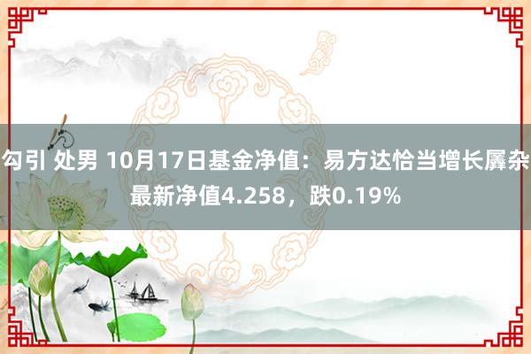 勾引 处男 10月17日基金净值：易方达恰当增长羼杂最新净值4.258，跌0.19%