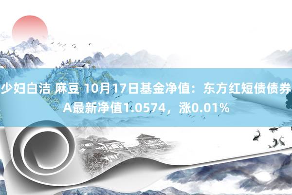 少妇白洁 麻豆 10月17日基金净值：东方红短债债券A最新净值1.0574，涨0.01%