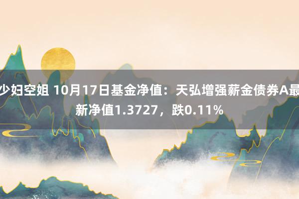 少妇空姐 10月17日基金净值：天弘增强薪金债券A最新净值1.3727，跌0.11%