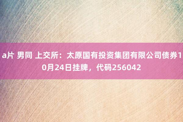 a片 男同 上交所：太原国有投资集团有限公司债券10月24日挂牌，代码256042