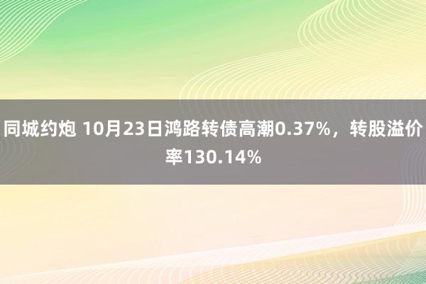 同城约炮 10月23日鸿路转债高潮0.37%，转股溢价率130.14%