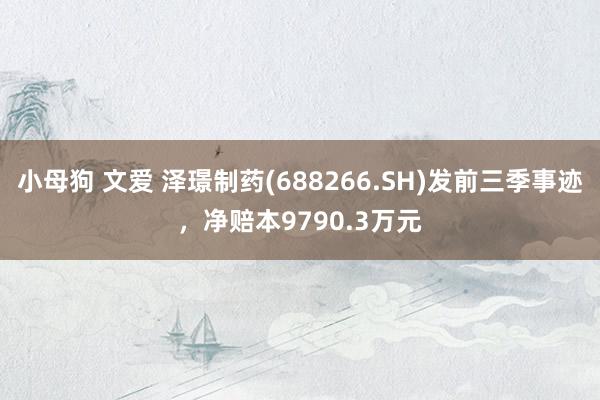 小母狗 文爱 泽璟制药(688266.SH)发前三季事迹，净赔本9790.3万元