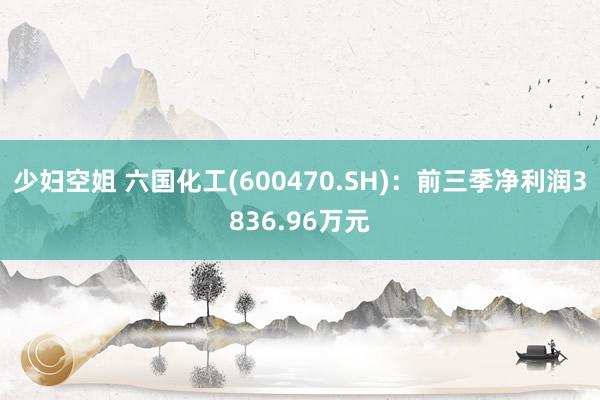 少妇空姐 六国化工(600470.SH)：前三季净利润3836.96万元