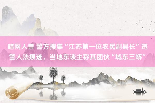 暗网人兽 警方搜集“江苏第一位农民副县长”违警人法痕迹，当地东谈主称其团伙“城东三蟒”