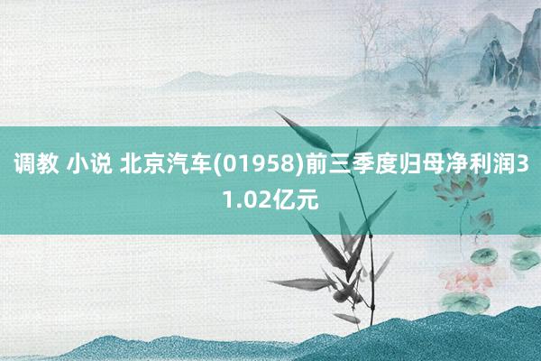 调教 小说 北京汽车(01958)前三季度归母净利润31.02亿元