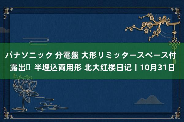 パナソニック 分電盤 大形リミッタースペース付 露出・半埋込両用形 北大红楼日记丨10月31日