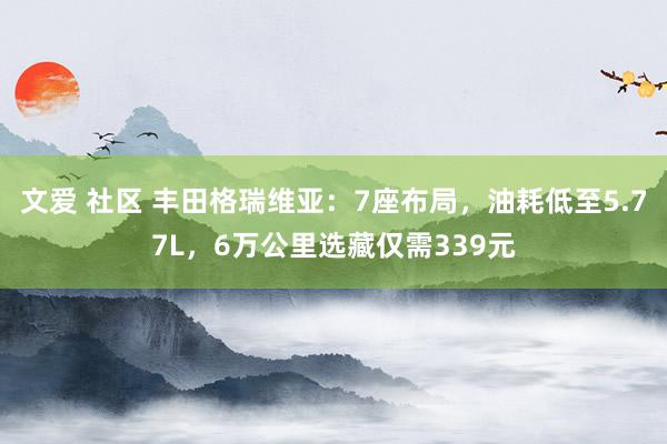 文爱 社区 丰田格瑞维亚：7座布局，油耗低至5.77L，6万公里选藏仅需339元