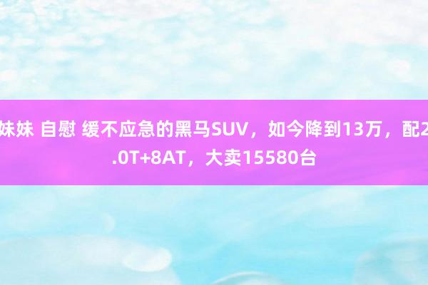 妹妹 自慰 缓不应急的黑马SUV，如今降到13万，配2.0T+8AT，大卖15580台