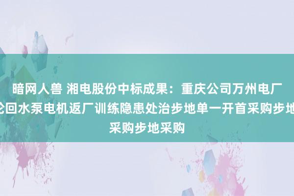 暗网人兽 湘电股份中标成果：重庆公司万州电厂5台轮回水泵电机返厂训练隐患处治步地单一开首采购步地采购