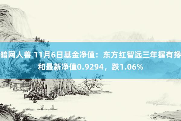 暗网人兽 11月6日基金净值：东方红智远三年握有搀和最新净值0.9294，跌1.06%