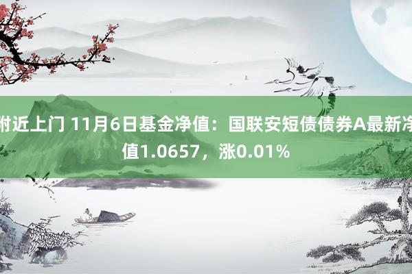 附近上门 11月6日基金净值：国联安短债债券A最新净值1.0657，涨0.01%