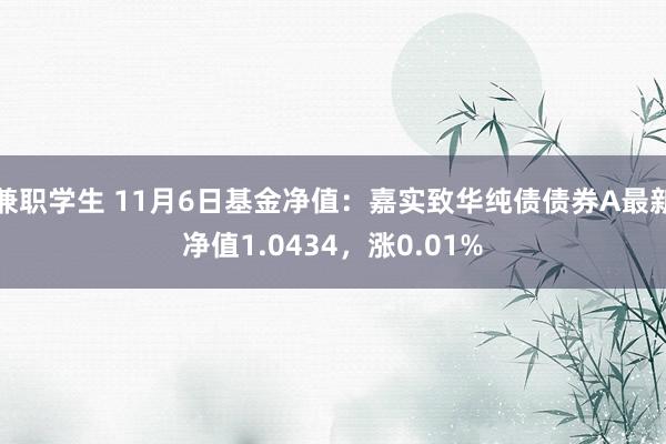 兼职学生 11月6日基金净值：嘉实致华纯债债券A最新净值1.0434，涨0.01%