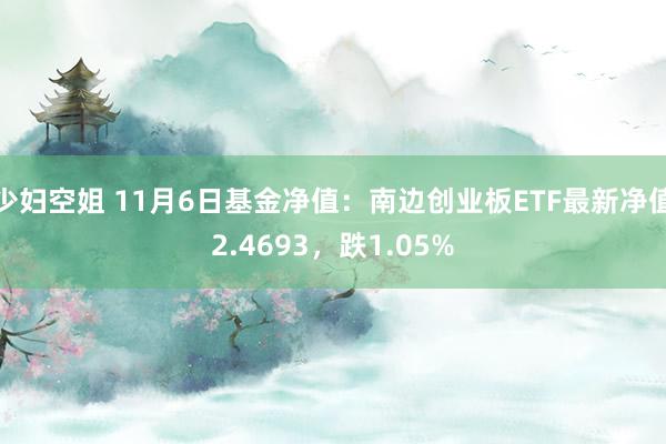 少妇空姐 11月6日基金净值：南边创业板ETF最新净值2.4693，跌1.05%