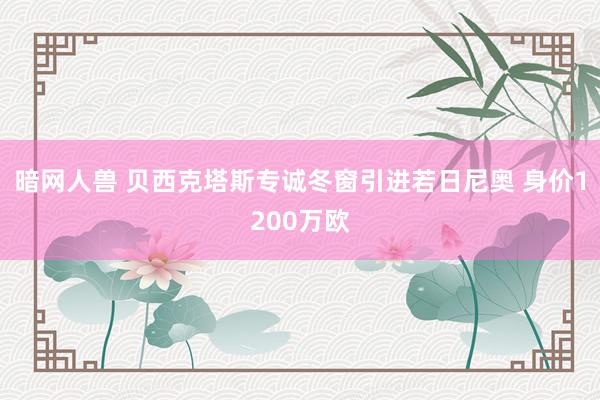 暗网人兽 贝西克塔斯专诚冬窗引进若日尼奥 身价1200万欧