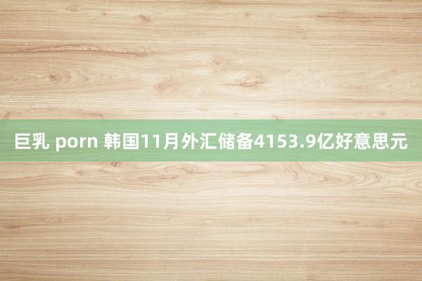 巨乳 porn 韩国11月外汇储备4153.9亿好意思元