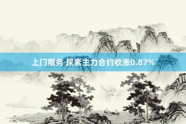 上门服务 尿素主力合约收涨0.87%