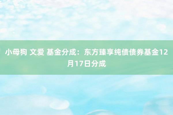 小母狗 文爱 基金分成：东方臻享纯债债券基金12月17日分成