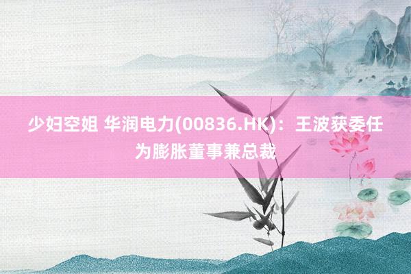 少妇空姐 华润电力(00836.HK)：王波获委任为膨胀董事兼总裁