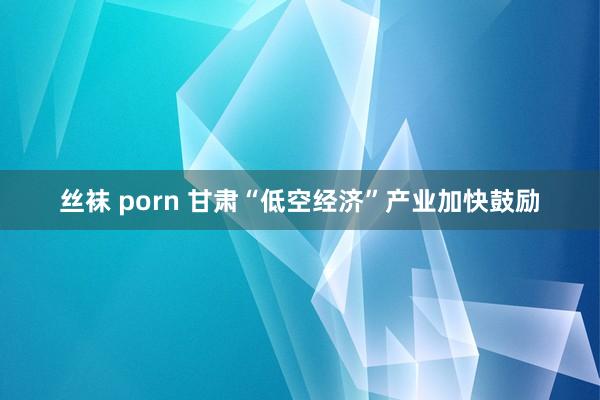 丝袜 porn 甘肃“低空经济”产业加快鼓励