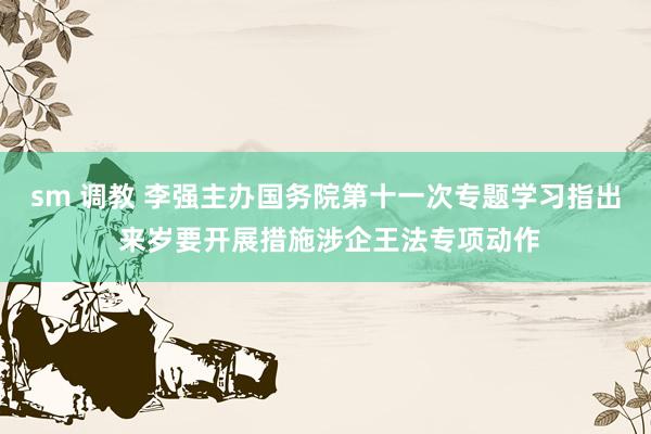 sm 调教 李强主办国务院第十一次专题学习指出 来岁要开展措施涉企王法专项动作