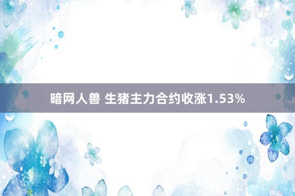 暗网人兽 生猪主力合约收涨1.53%