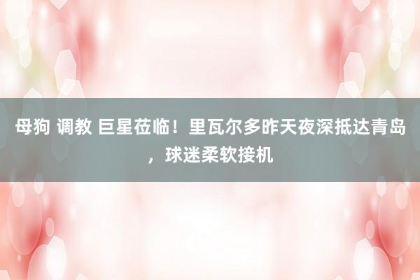 母狗 调教 巨星莅临！里瓦尔多昨天夜深抵达青岛，球迷柔软接机